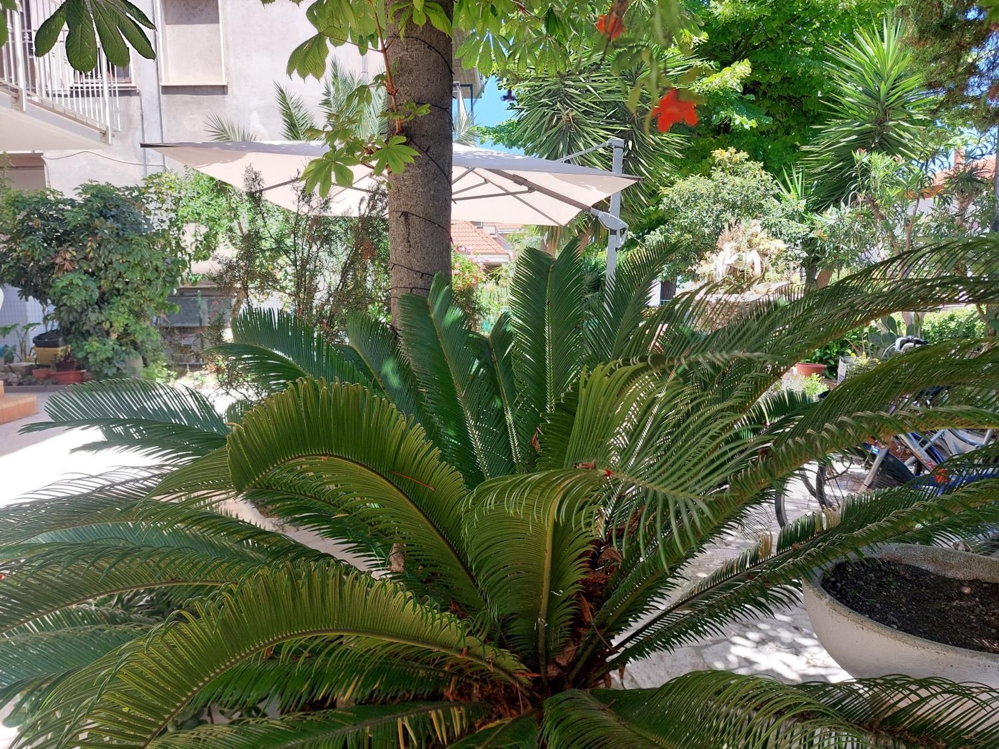 B&B La Fontanella San Benedetto del Tronto Esterno foto
